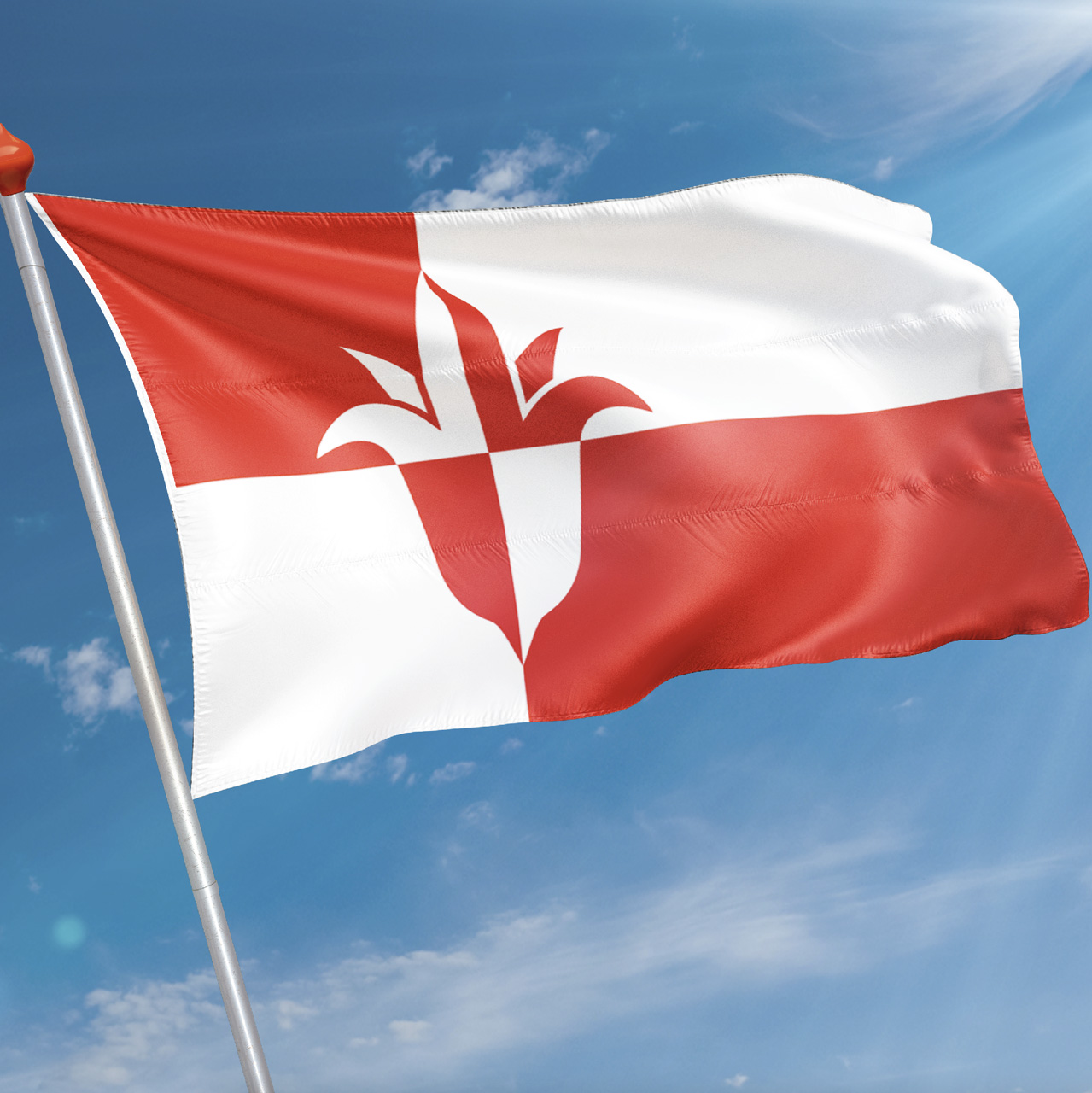 Vlag Bernheze