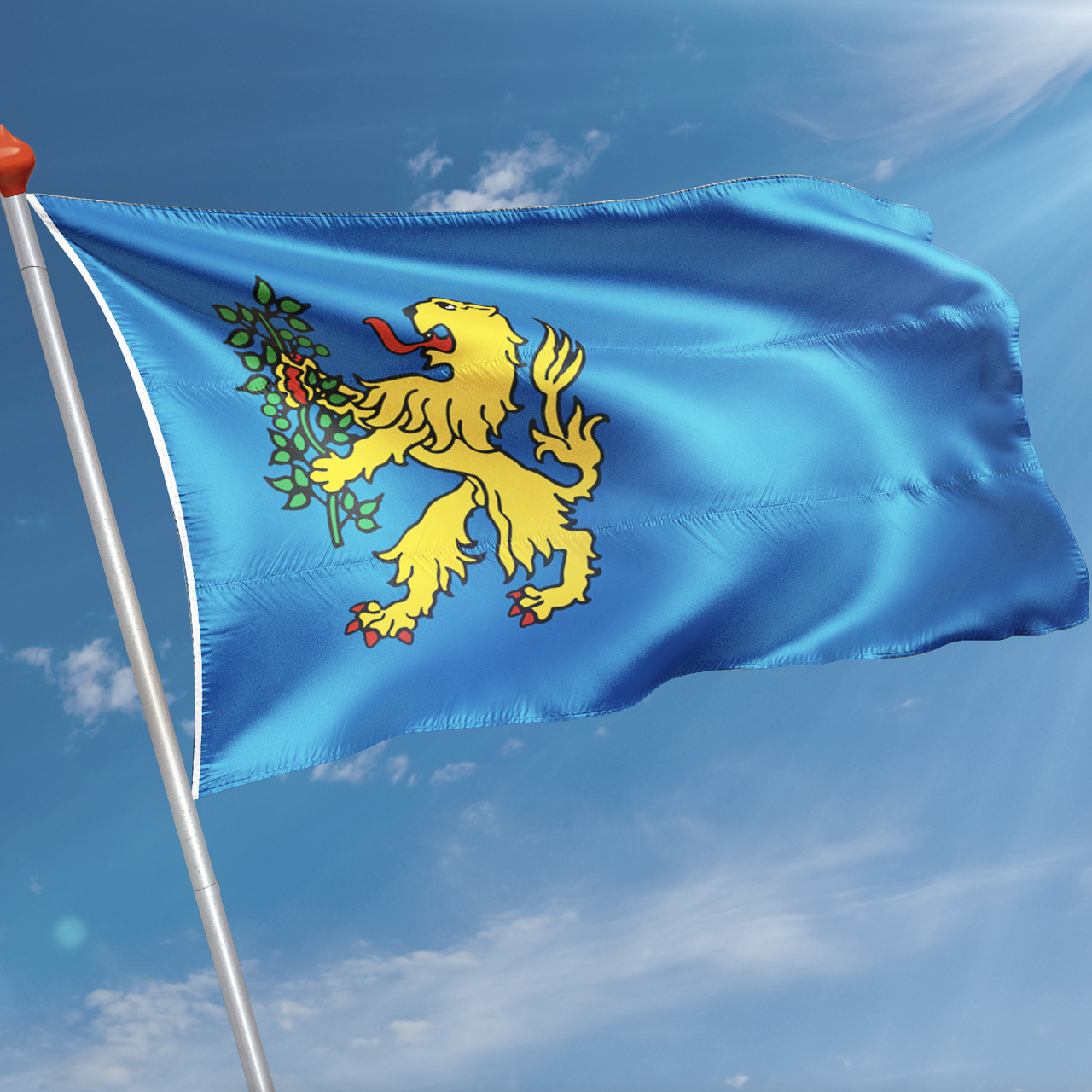 Vlag Brummen