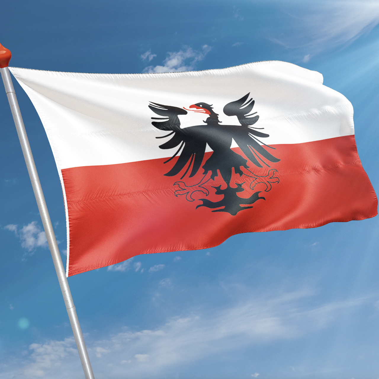 Vlag Deventer