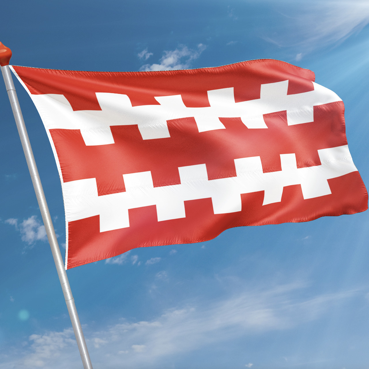 Vlag Dongen