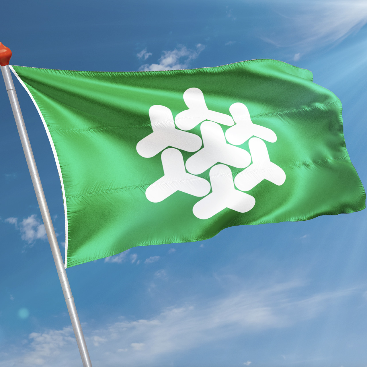 Vlag Dronten