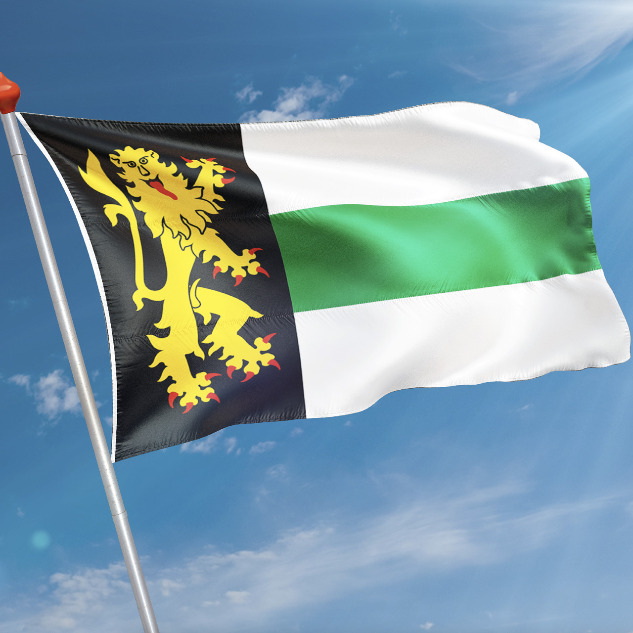 Vlag Druten