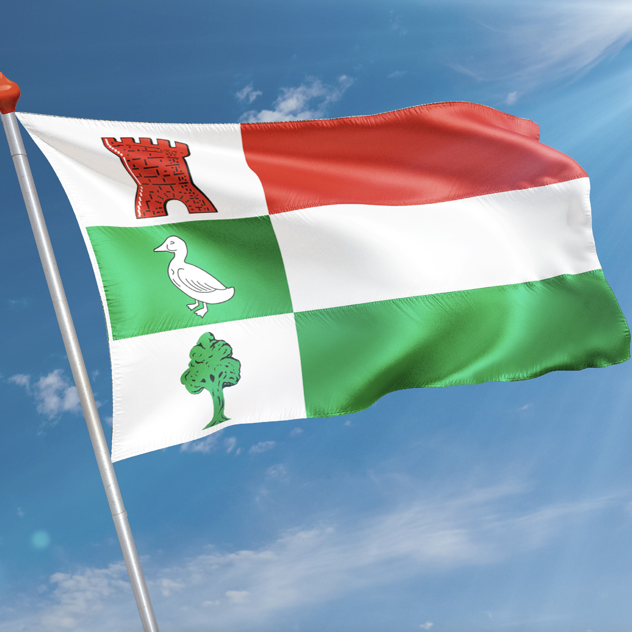 Vlag Halderberge