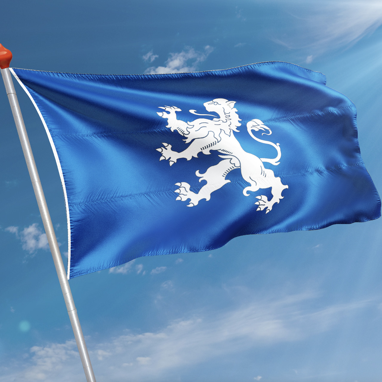 Vlag Heemskerk