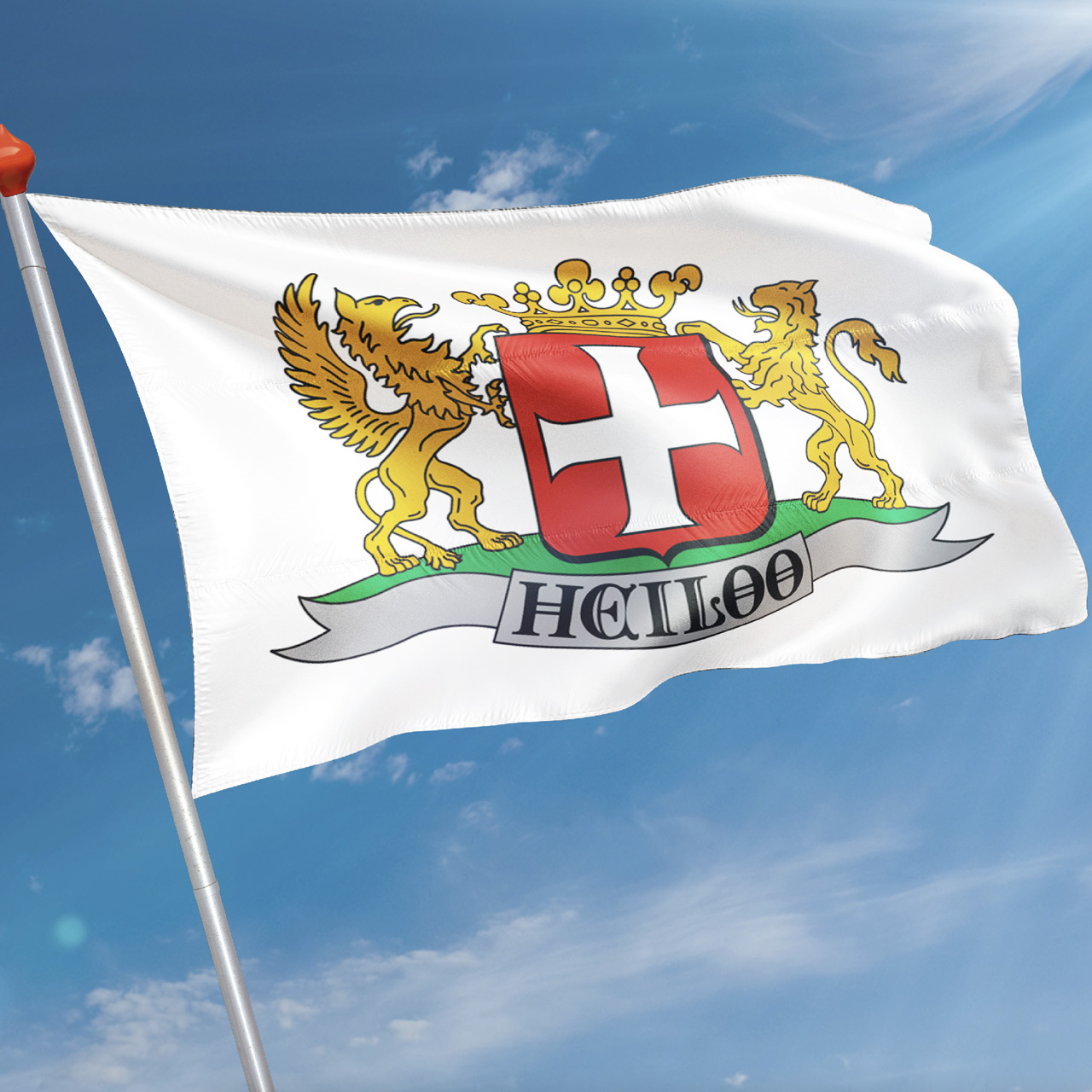 Vlag Heiloo
