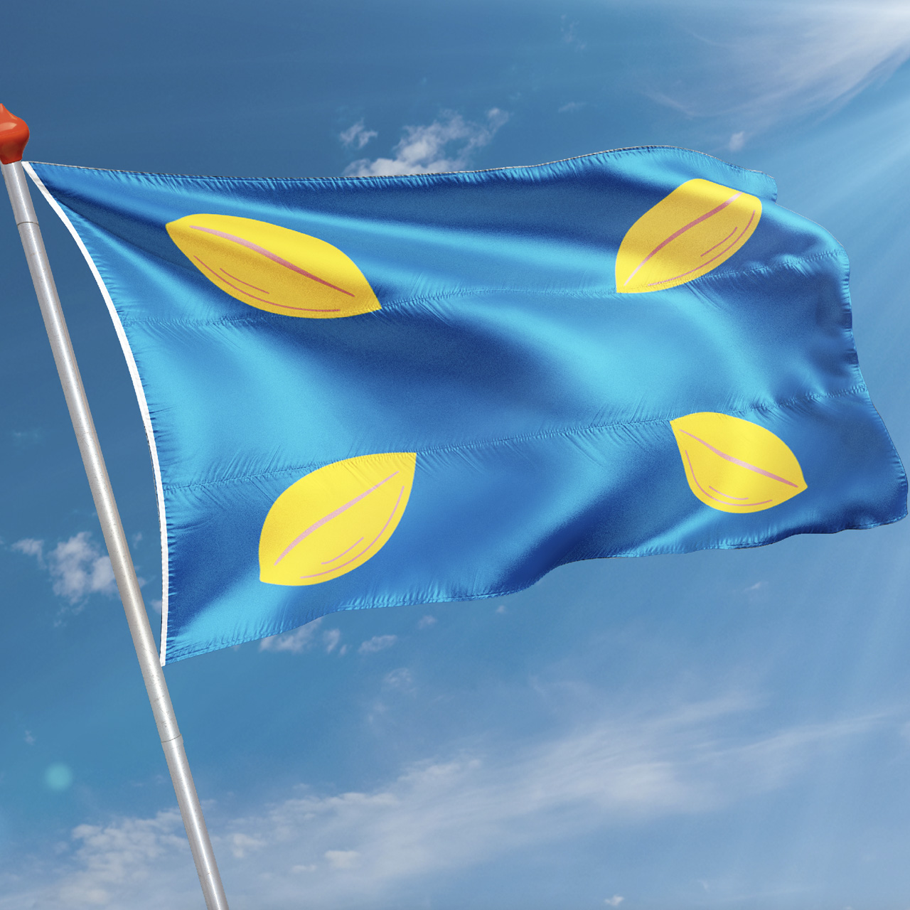 Vlag Hilversum