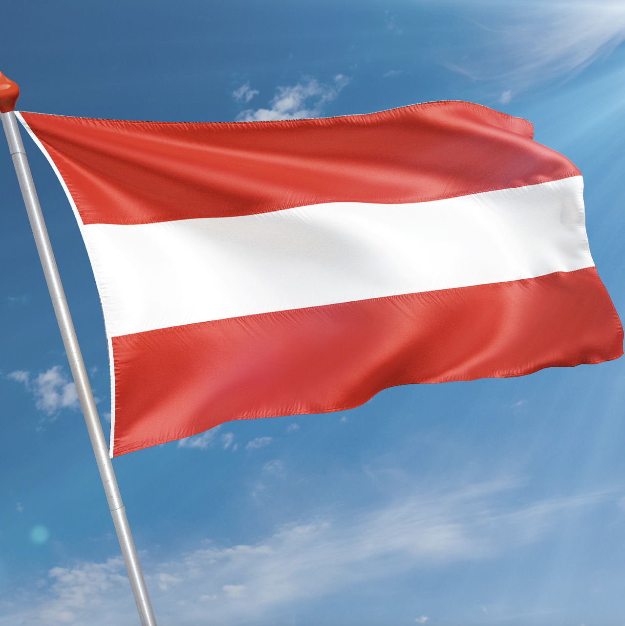 Vlag Hoorn