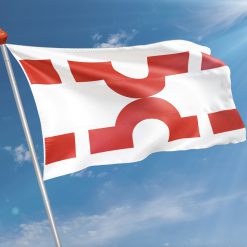 Alternative view of Vlag  Losser