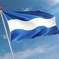 Alternative view of Vlag  Maassluis