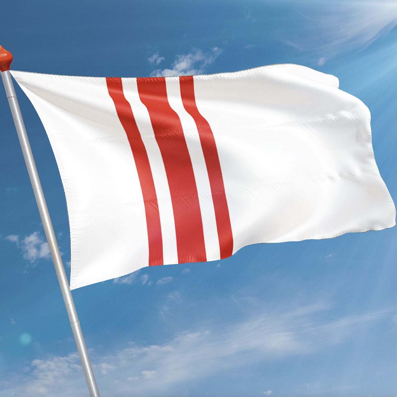 Vlag Oisterwijk