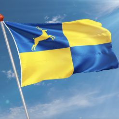 Alternative view of Vlag  Putten