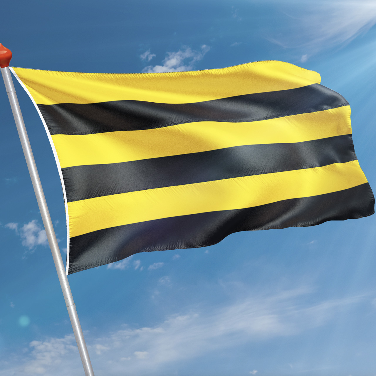 Vlag Schiedam