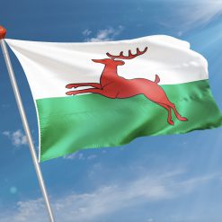 Alternative view of Vlag  Smallingerland