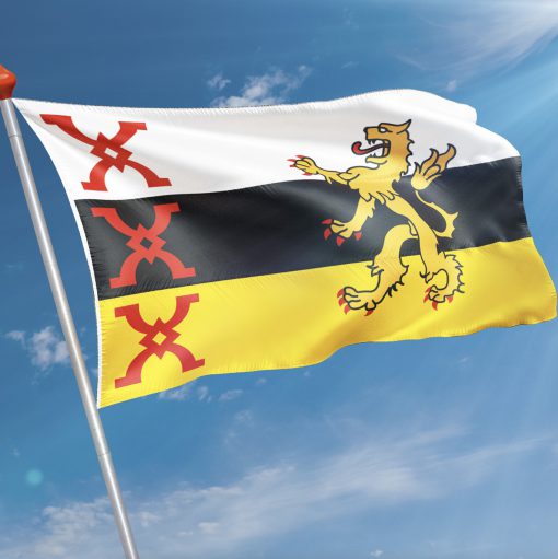 Vlag  Someren