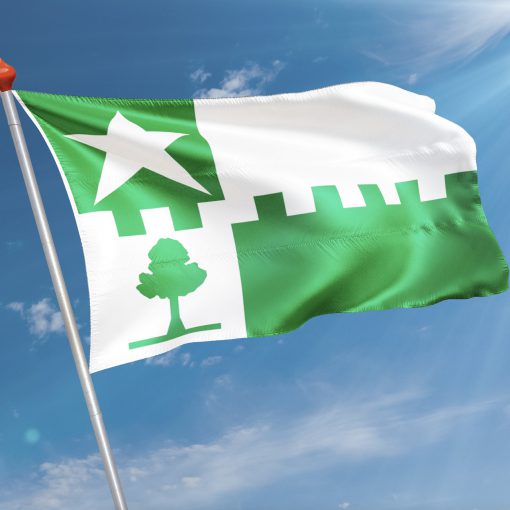 Vlag  Stede Broec