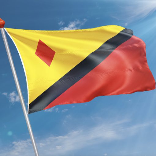 Vlag  Stein