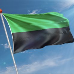 Alternative view of Vlag  Texel