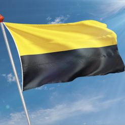 Alternative view of Vlag  Tiel
