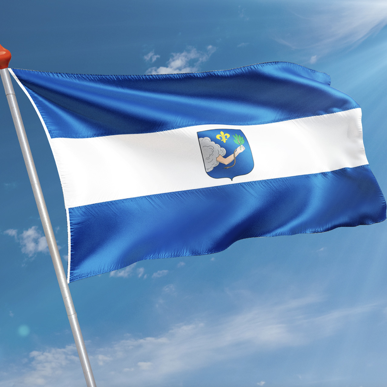 Vlag Veendam