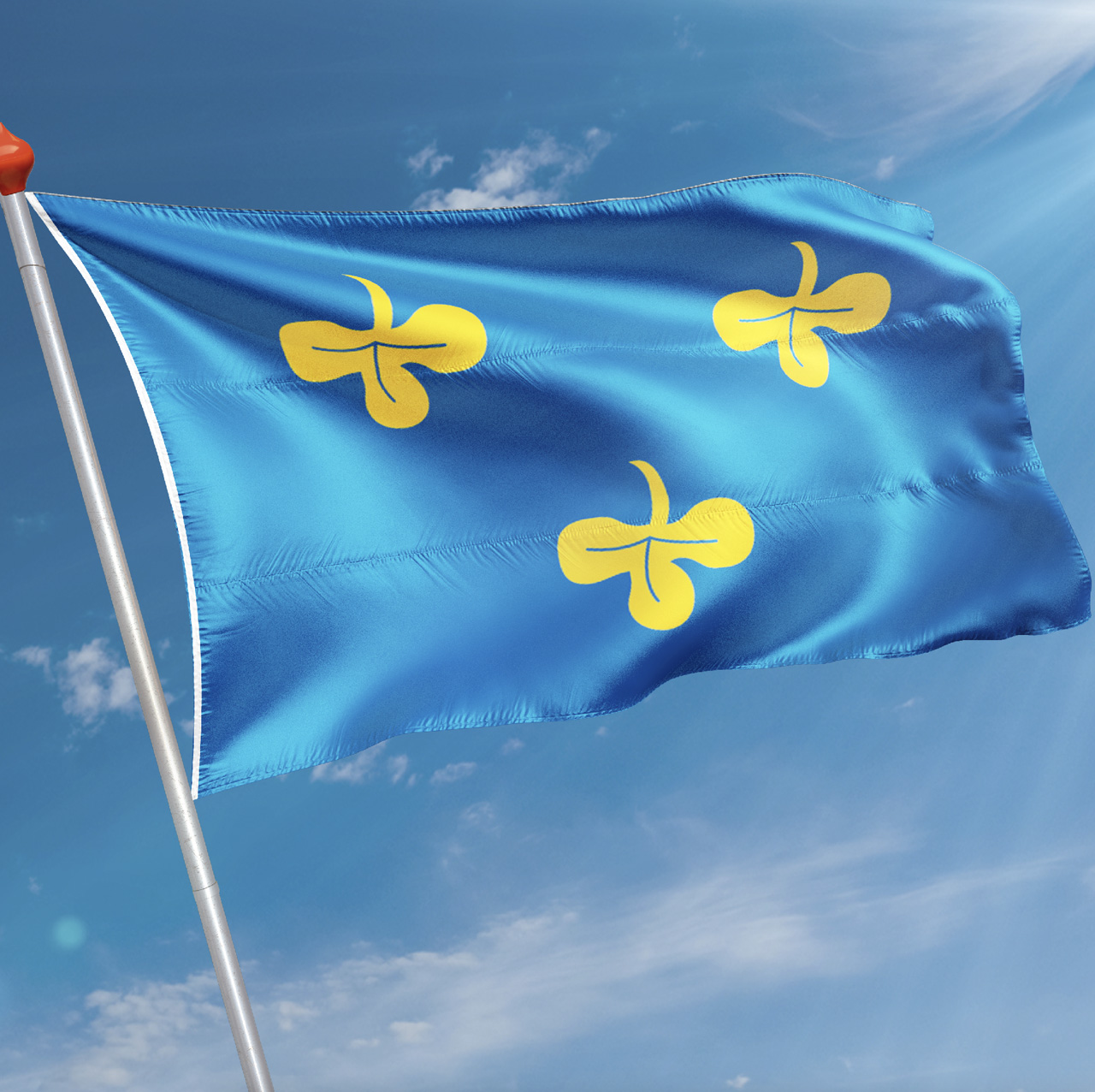 Vlag Zoeterwoude