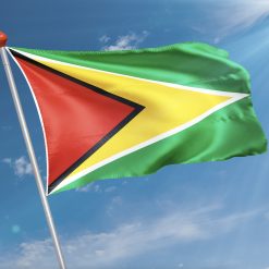 Alternative view of Vlag Guyana