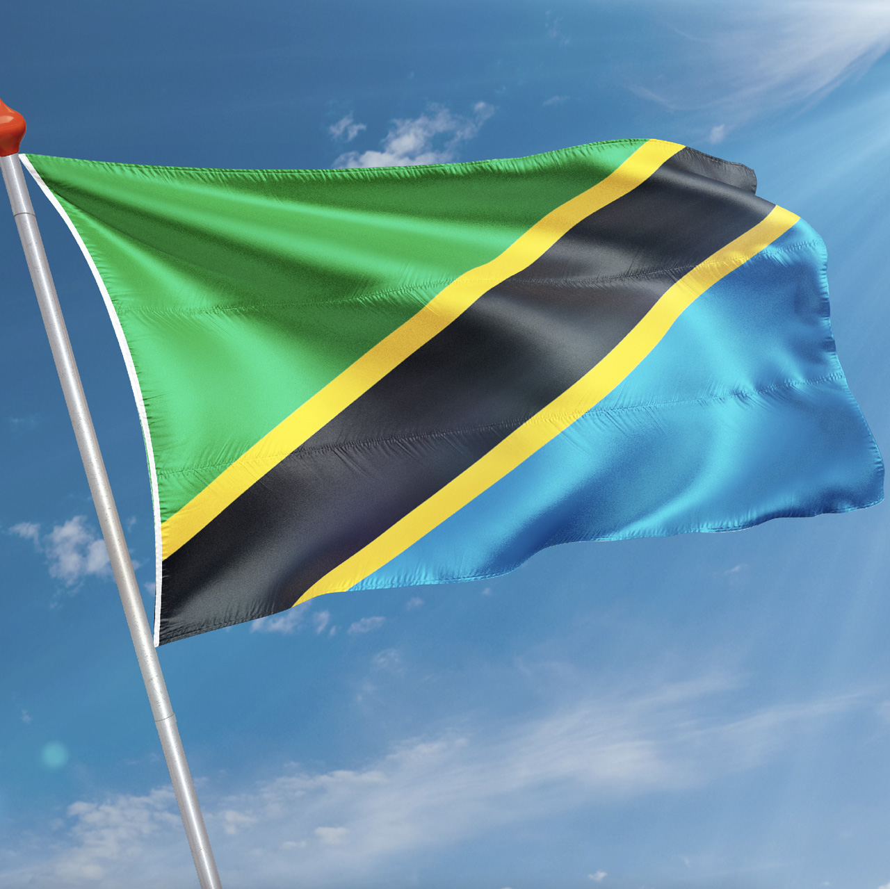 Vlag Tanzania
