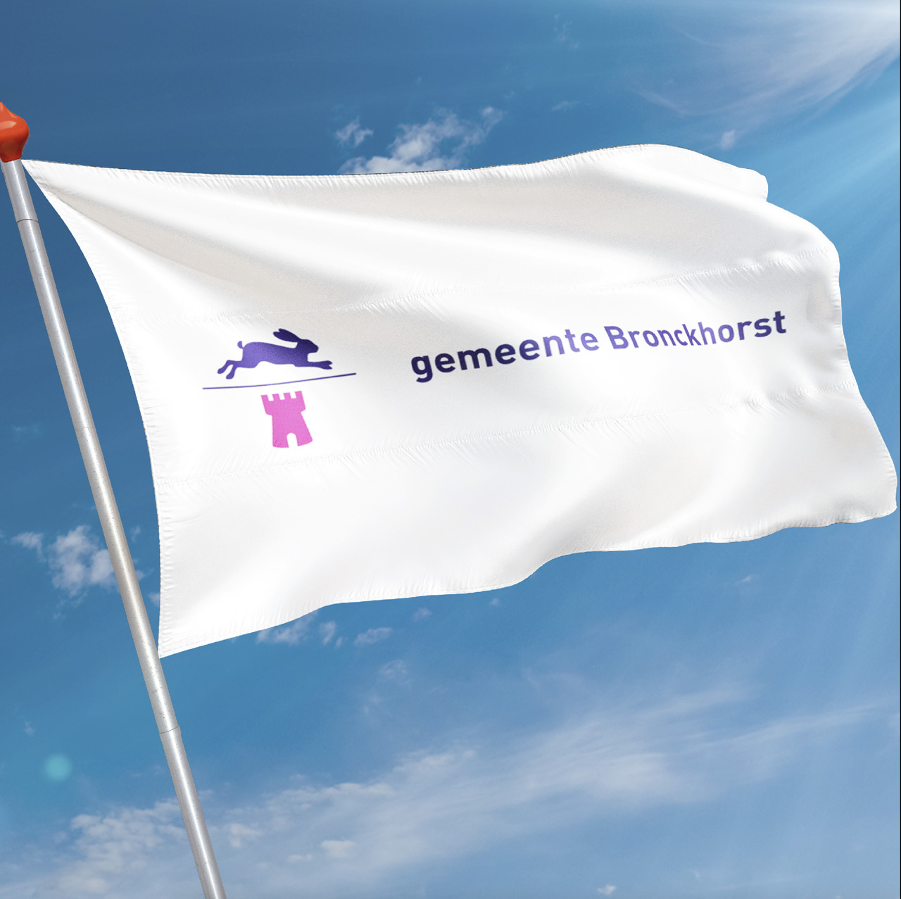 Vlag Bronckhorst