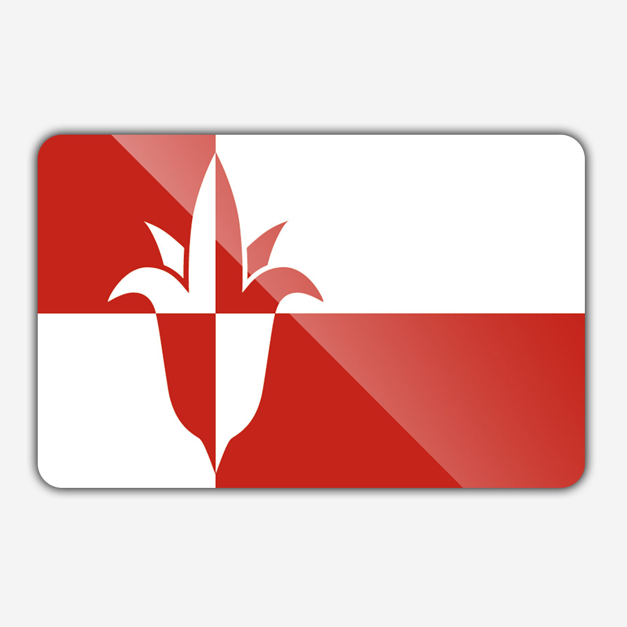 Vlag gemeente Bernheze