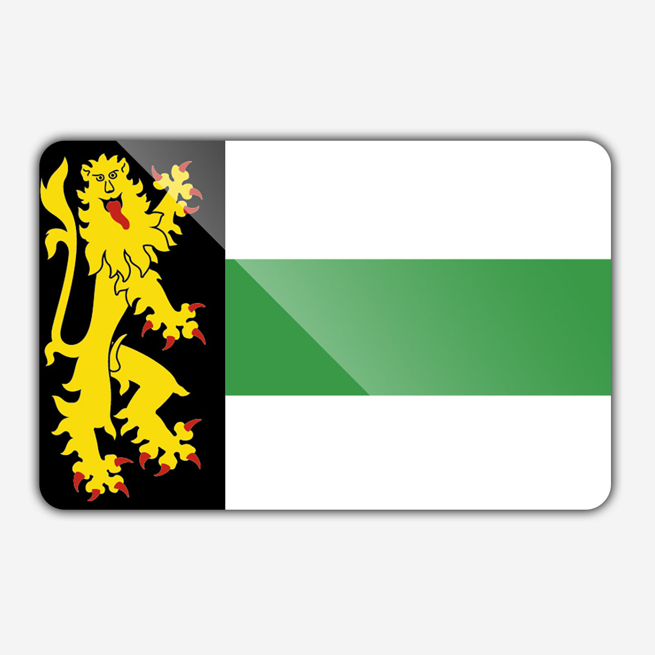 Vlag gemeente Druten