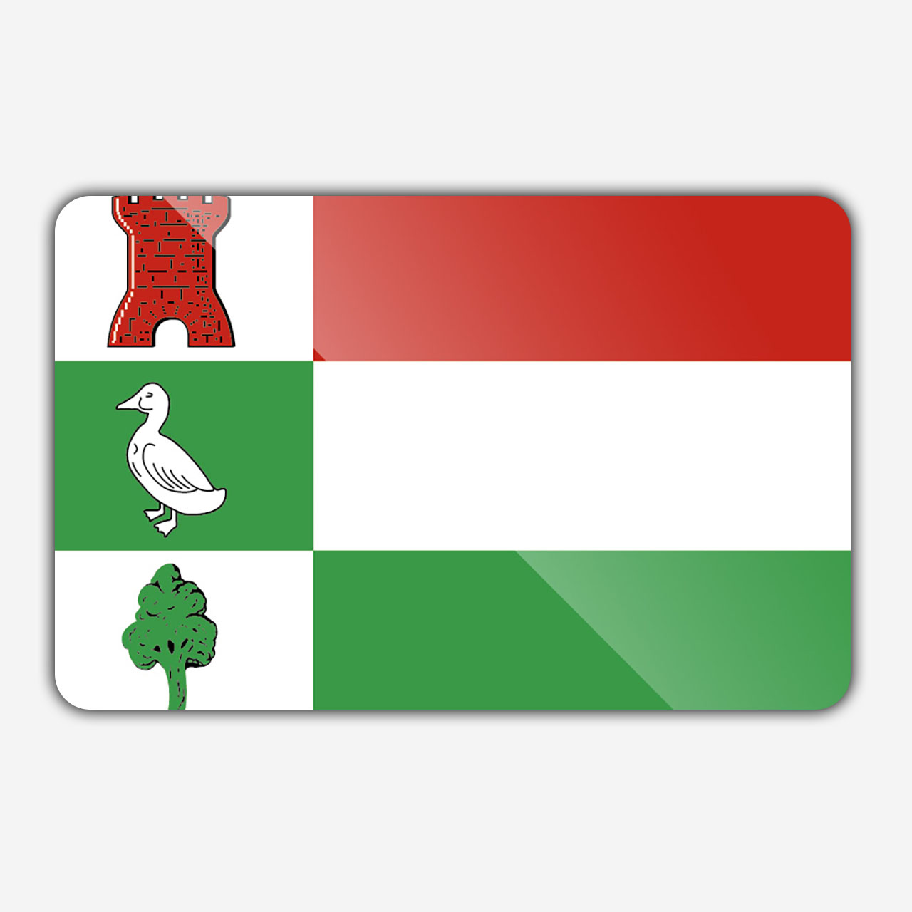Vlag gemeente Halderberge