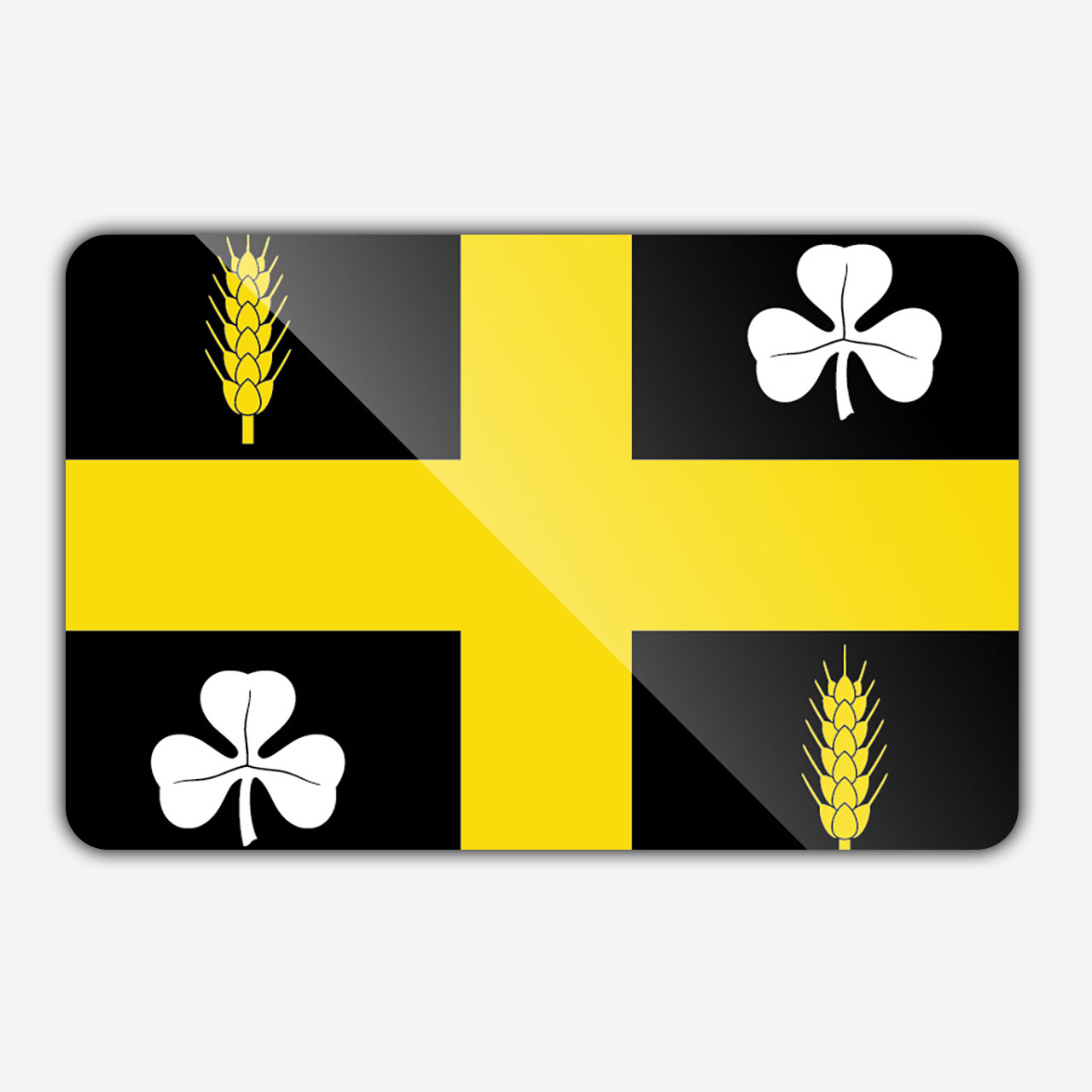 Vlag gemeente Raalte