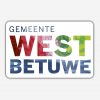 Vlag gemeente West Betuwe