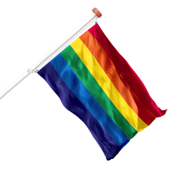 Regenboog vlaggen