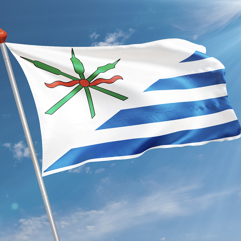 Vlag Anjum