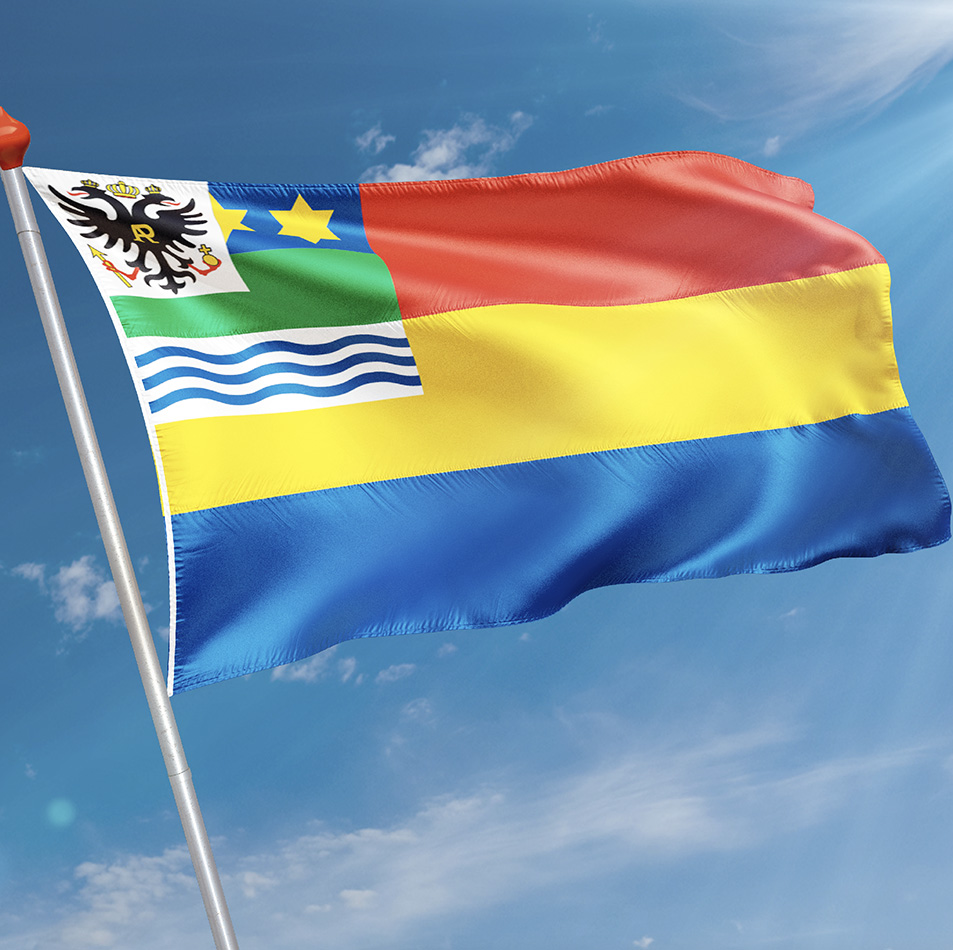 Vlag Anna Paulowna