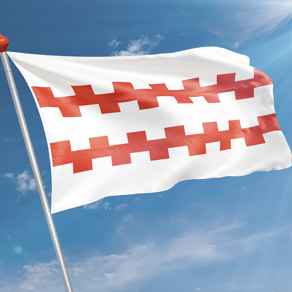 Vlag Arkel