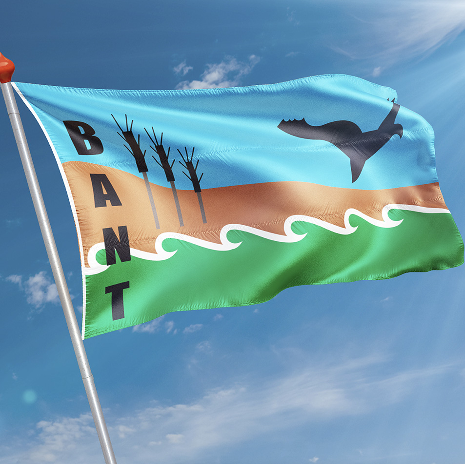 Vlag Bant