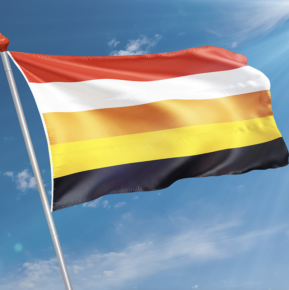 Vlag Benschop