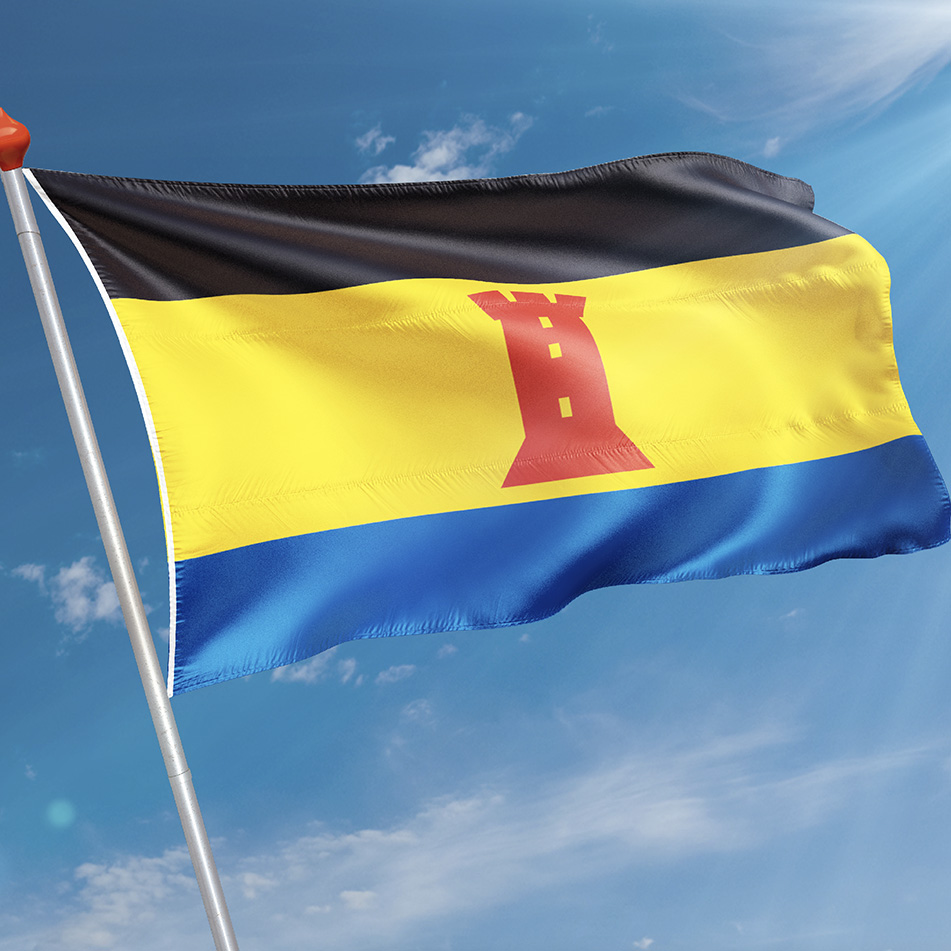 Vlag Born