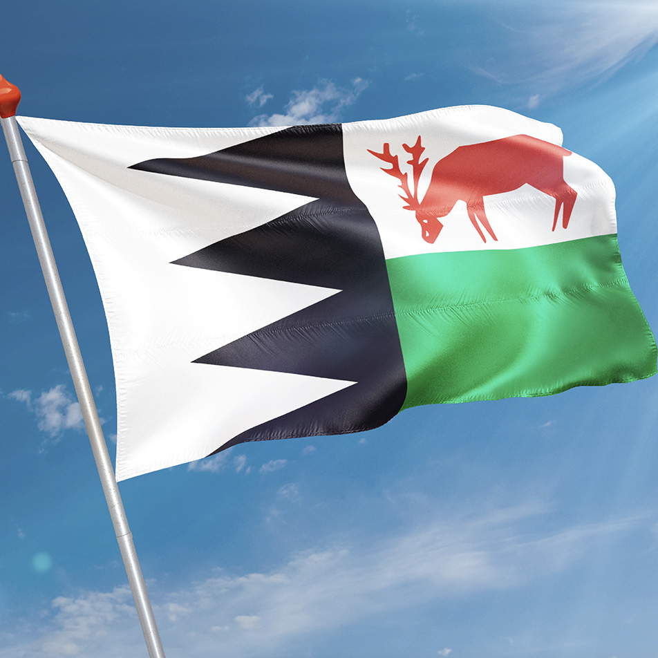 Vlag Bruinisse