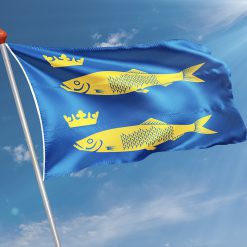 Alternative view of Vlag De Rijp