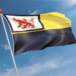 Alternative view of Vlag Didam