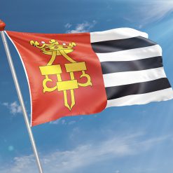 Alternative view of Vlag Drachten