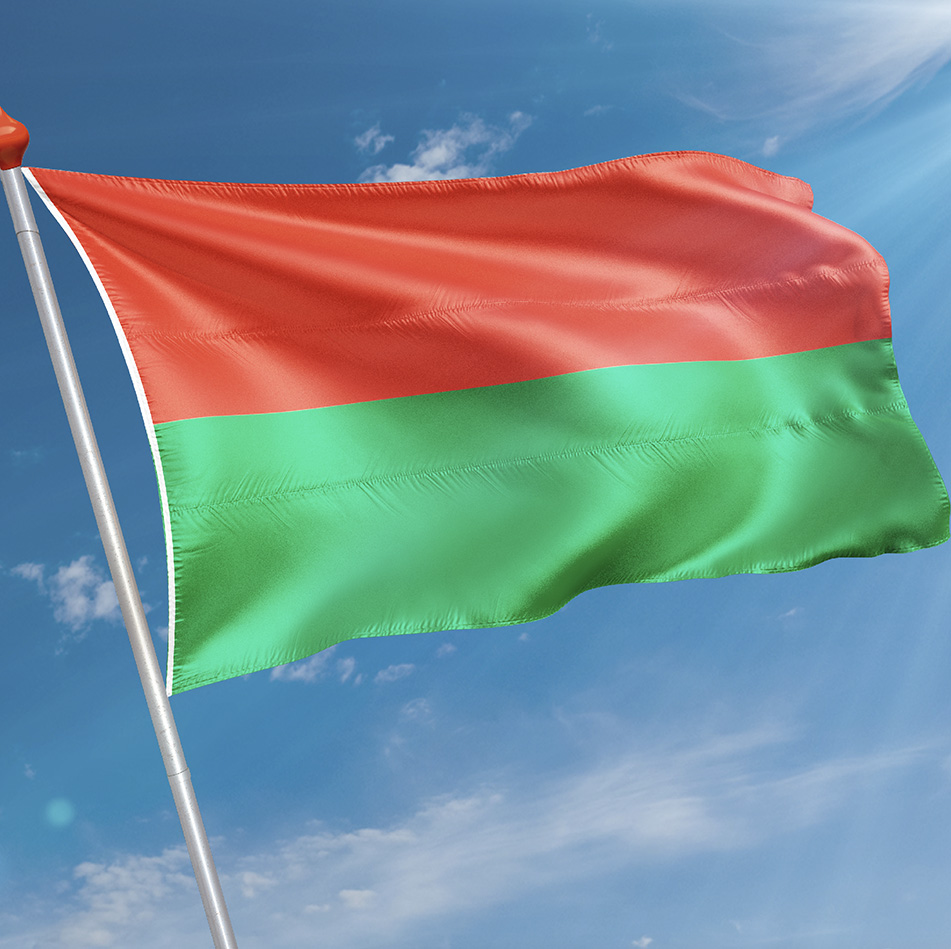 Vlag Edam