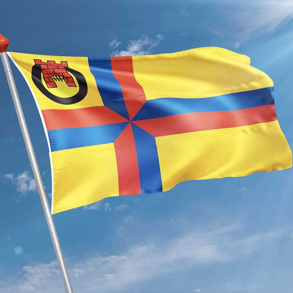 Vlag Eelde