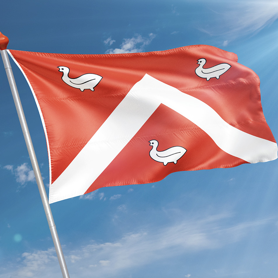 Vlag Ens