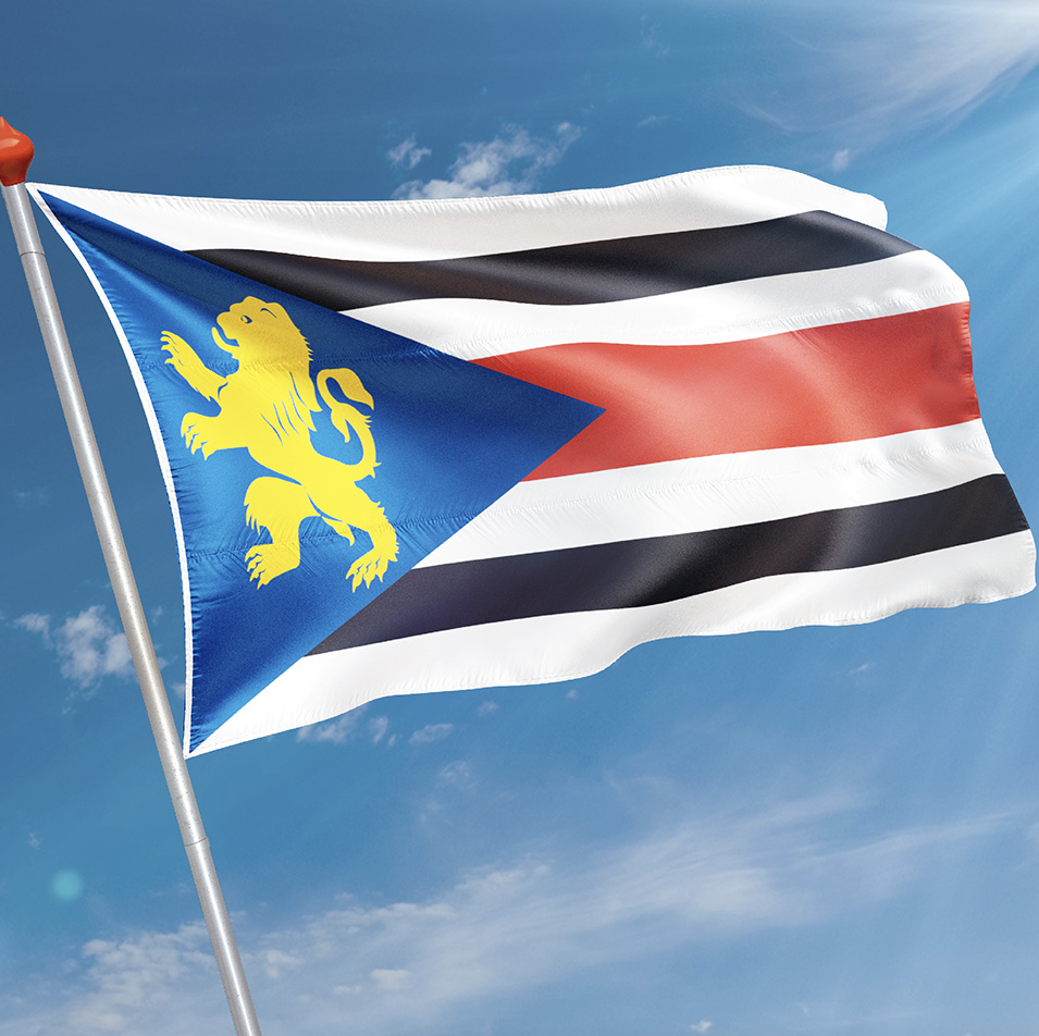Vlag Finsterwolde