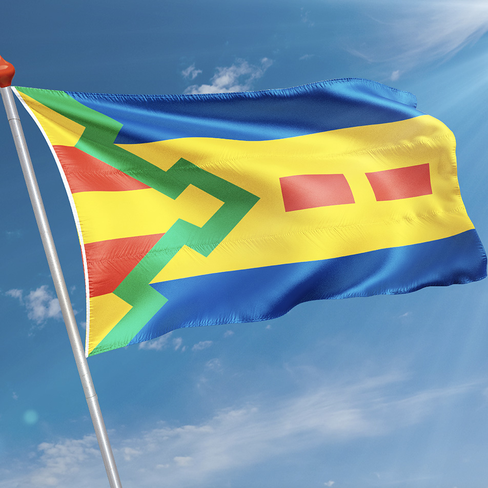Vlag Frieschepalen