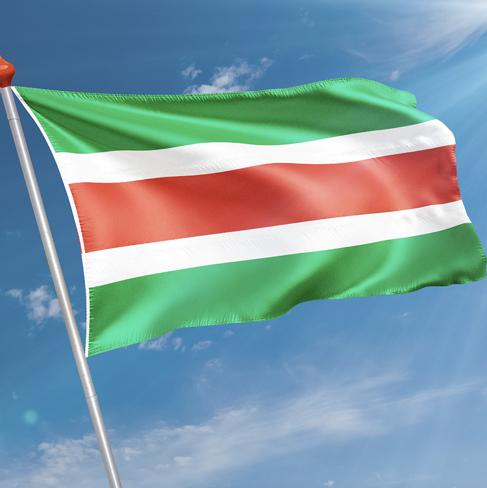 Vlag Garijp