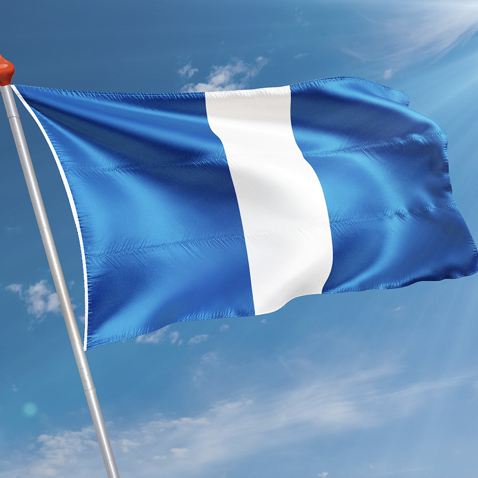 Vlag Goudswaard
